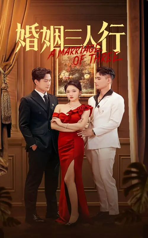 《婚姻三人行》：都市情感的挣扎与救赎，谁才是爱情的最终归宿？