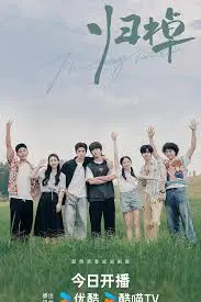 治愈心灵之作：《归棹》：寻觅人生真谛，感受平静与释怀的温暖旅程。