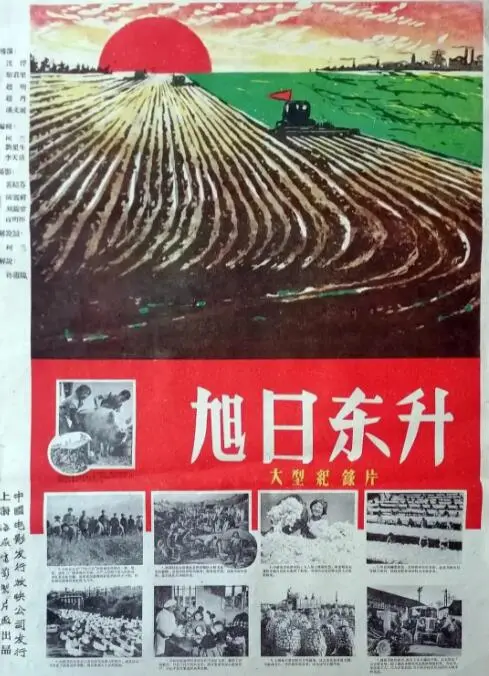 《旭日东升》：一部热血激昂的励志体育电影，展现了运动员的汗水、泪水与荣耀，点燃青春梦想！