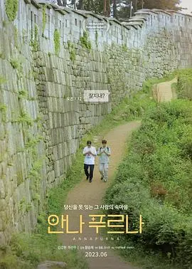 《安纳普尔纳》：穿越冰雪与心灵的极限挑战，致敬不屈的登山精神