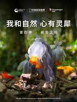 《《我和自然 心有灵犀》第四季 - 共生之地》：重新认识自然，发现生命之间最深刻的连接与和谐共生！