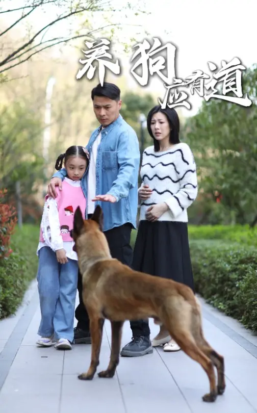 《养狗应有道》：当萌宠遇上人生哲理，一场关于责任与爱的温情守护之旅